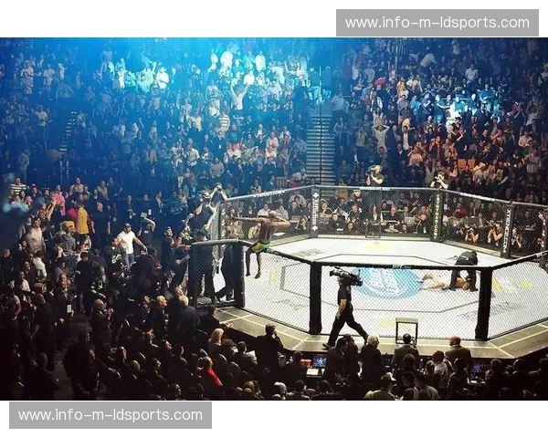 UFC交锋记录：搏击英雄的荣耀之路